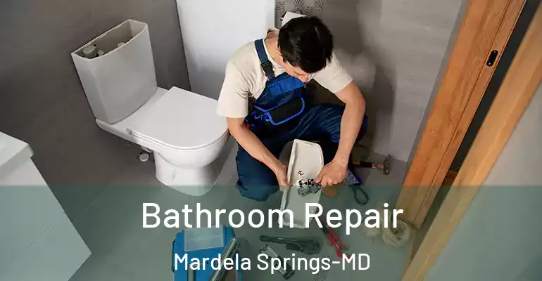 inner Bathroom imggen Bathroom Repair Mardela Springs-MD