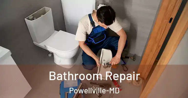 inner Bathroom imggen Bathroom Repair Powellville-MD