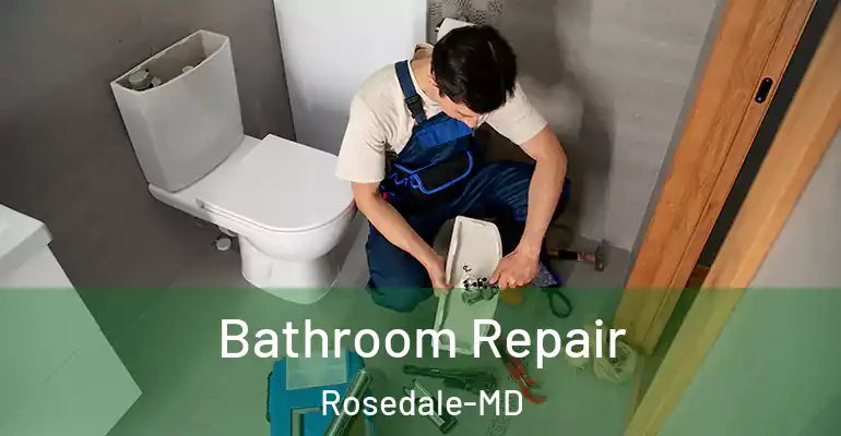 inner Bathroom imggen Bathroom Repair Rosedale-MD