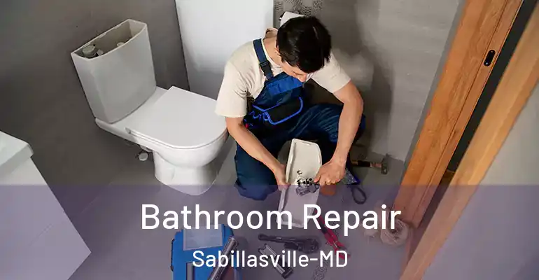 inner Bathroom imggen Bathroom Repair Sabillasville-MD