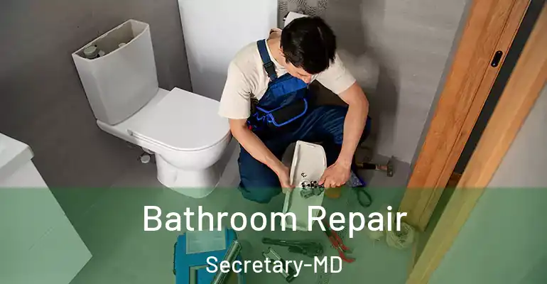 inner Bathroom imggen Bathroom Repair Secretary-MD
