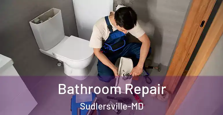 inner Bathroom imggen Bathroom Repair Sudlersville-MD