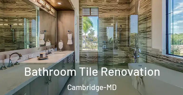 inner Bathroom imggen Bathroom Tile Renovation Cambridge-MD