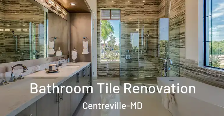 inner Bathroom imggen Bathroom Tile Renovation Centreville-MD