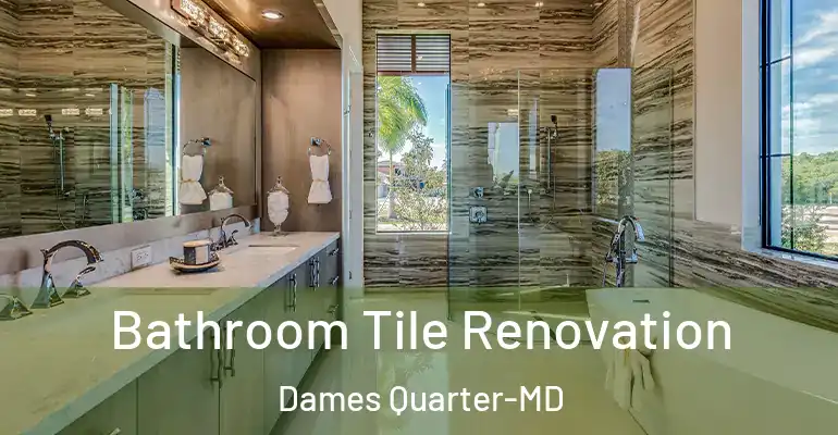 inner Bathroom imggen Bathroom Tile Renovation Dames Quarter-MD