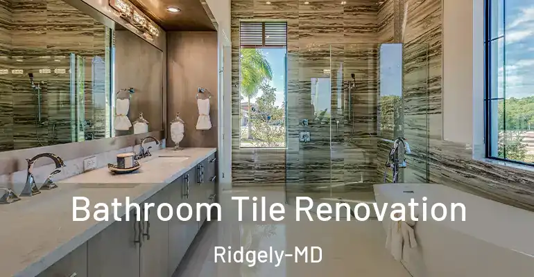 inner Bathroom imggen Bathroom Tile Renovation Ridgely-MD