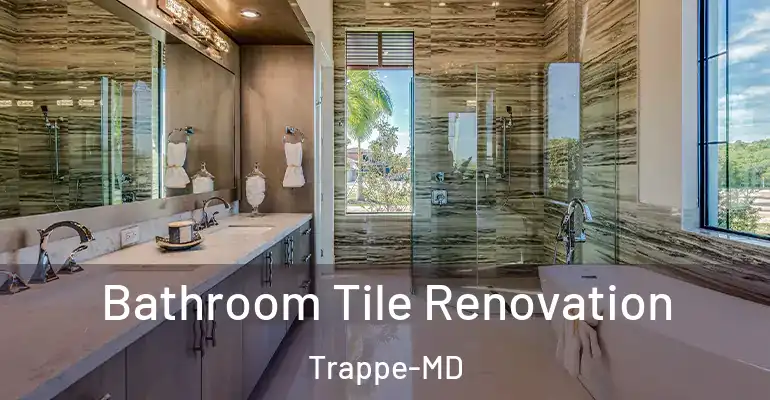 inner Bathroom imggen Bathroom Tile Renovation Trappe-MD