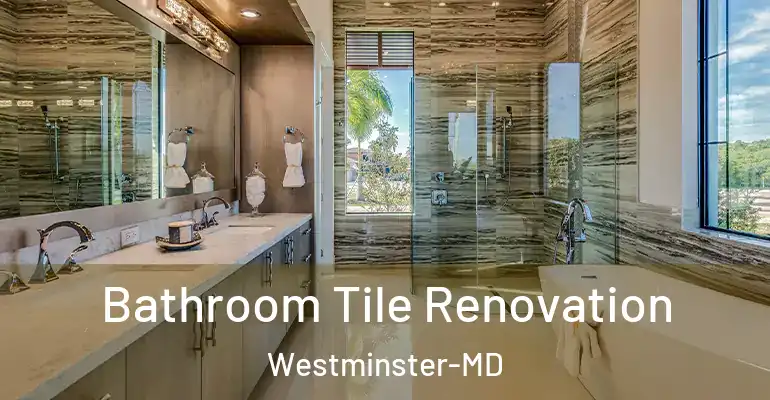 inner Bathroom imggen Bathroom Tile Renovation Westminster-MD