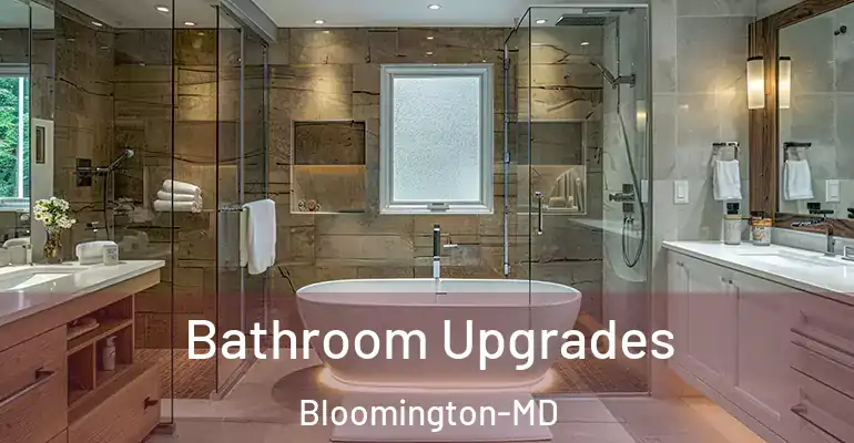 inner Bathroom imggen Bathroom Upgrades Bloomington-MD