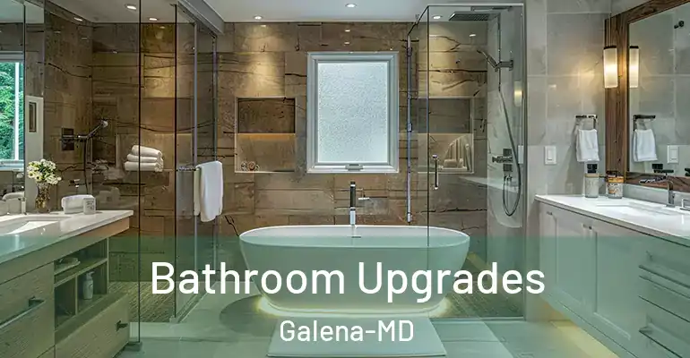 inner Bathroom imggen Bathroom Upgrades Galena-MD
