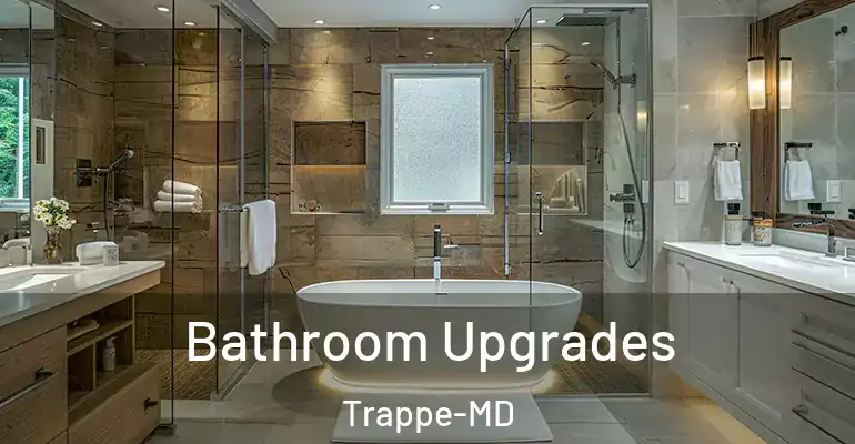 inner Bathroom imggen Bathroom Upgrades Trappe-MD