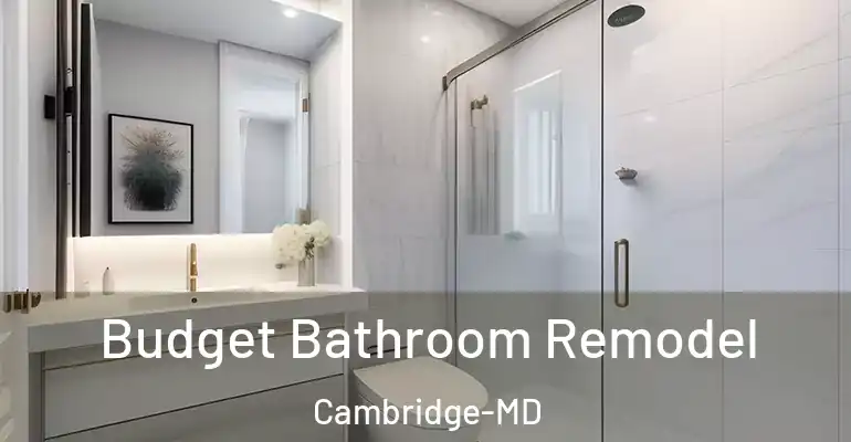 inner Bathroom imggen Budget Bathroom Remodel Cambridge-MD