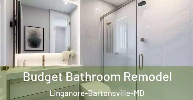 inner Bathroom imggen Budget Bathroom Remodel Linganore-Bartonsville-MD