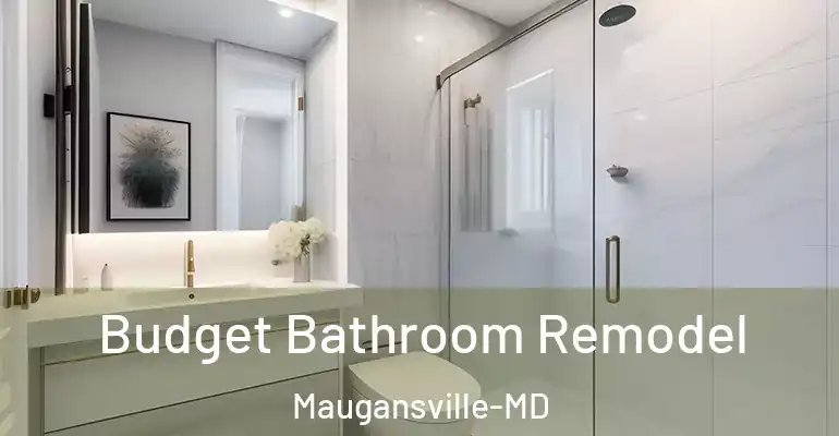 inner Bathroom imggen Budget Bathroom Remodel Maugansville-MD