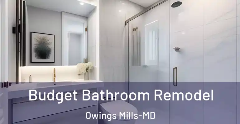 inner Bathroom imggen Budget Bathroom Remodel Owings Mills-MD