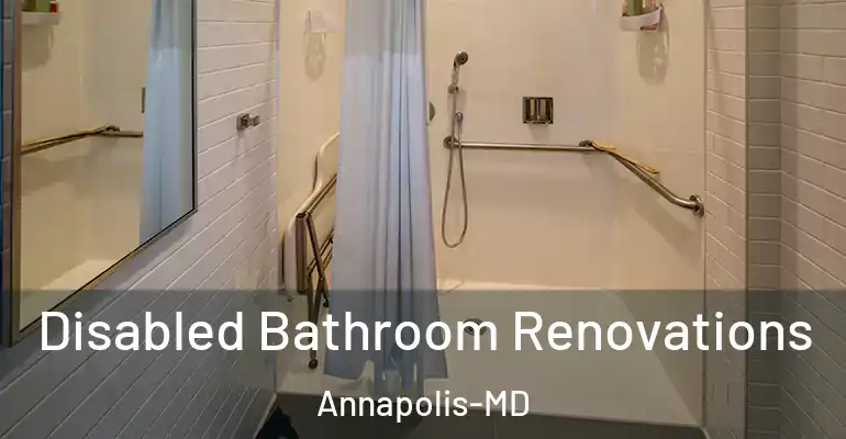 inner Bathroom imggen Disabled Bathroom Renovations Annapolis-MD