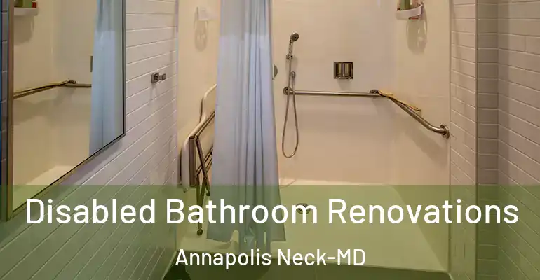 inner Bathroom imggen Disabled Bathroom Renovations Annapolis Neck-MD