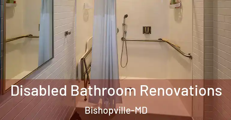 inner Bathroom imggen Disabled Bathroom Renovations Bishopville-MD