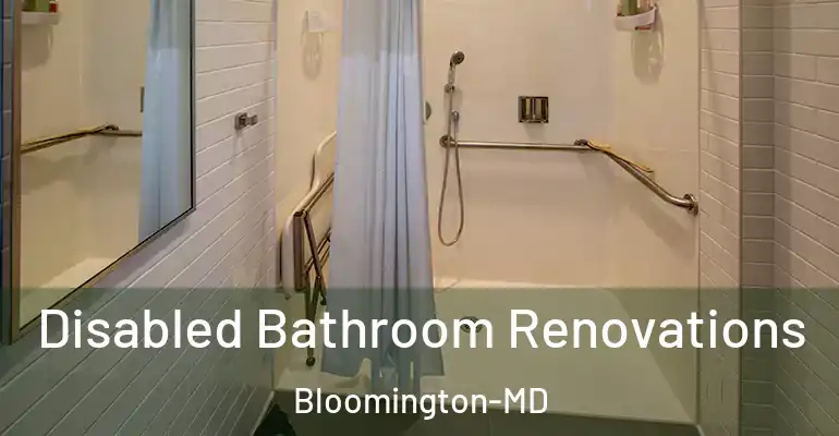 inner Bathroom imggen Disabled Bathroom Renovations Bloomington-MD