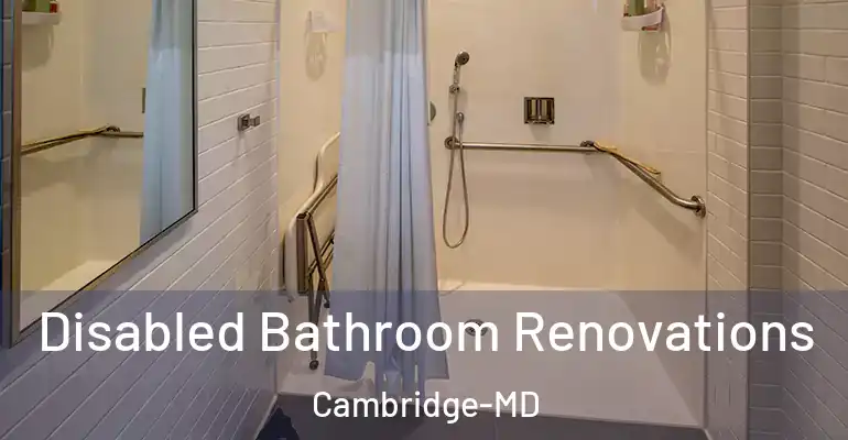inner Bathroom imggen Disabled Bathroom Renovations Cambridge-MD