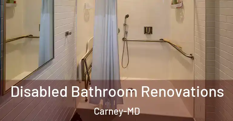 inner Bathroom imggen Disabled Bathroom Renovations Carney-MD
