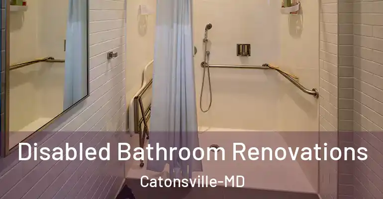 inner Bathroom imggen Disabled Bathroom Renovations Catonsville-MD