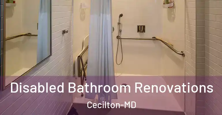 inner Bathroom imggen Disabled Bathroom Renovations Cecilton-MD