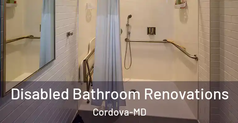 inner Bathroom imggen Disabled Bathroom Renovations Cordova-MD