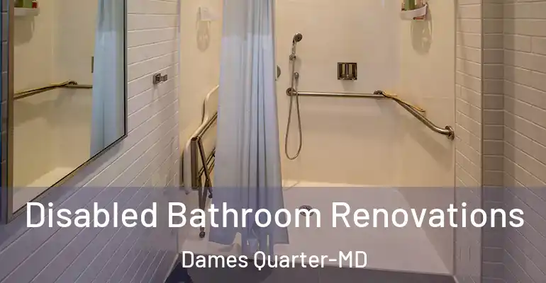 inner Bathroom imggen Disabled Bathroom Renovations Dames Quarter-MD