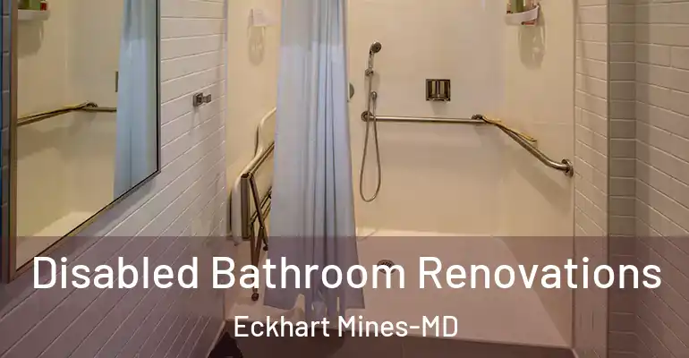 inner Bathroom imggen Disabled Bathroom Renovations Eckhart Mines-MD