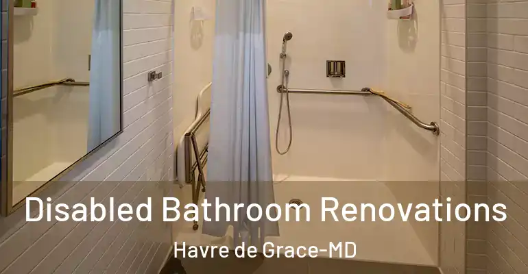 inner Bathroom imggen Disabled Bathroom Renovations Havre de Grace-MD