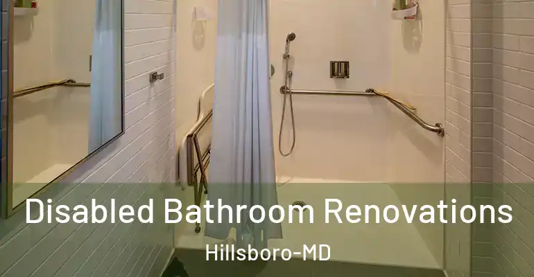 inner Bathroom imggen Disabled Bathroom Renovations Hillsboro-MD