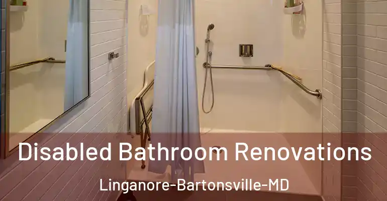 inner Bathroom imggen Disabled Bathroom Renovations Linganore-Bartonsville-MD