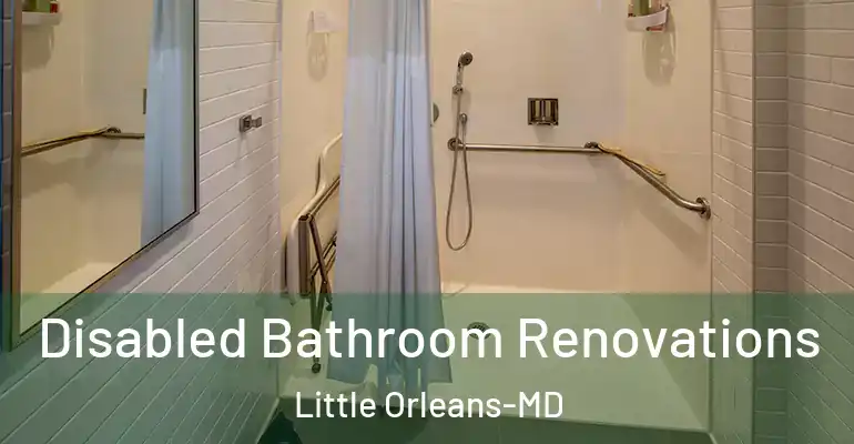 inner Bathroom imggen Disabled Bathroom Renovations Little Orleans-MD