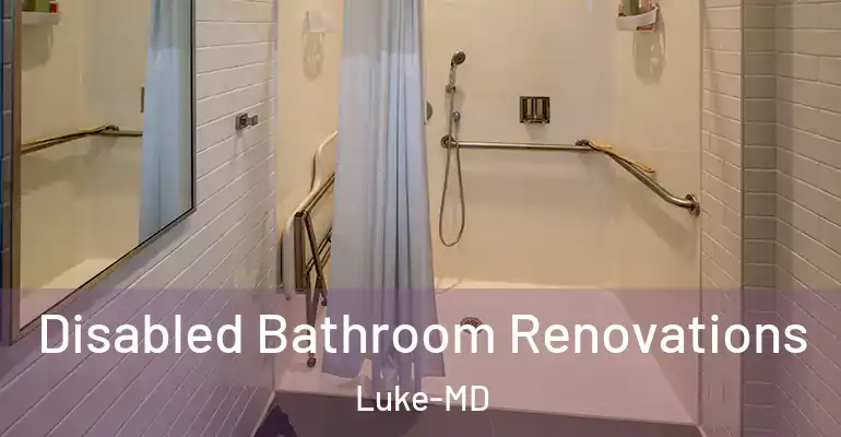 inner Bathroom imggen Disabled Bathroom Renovations Luke-MD