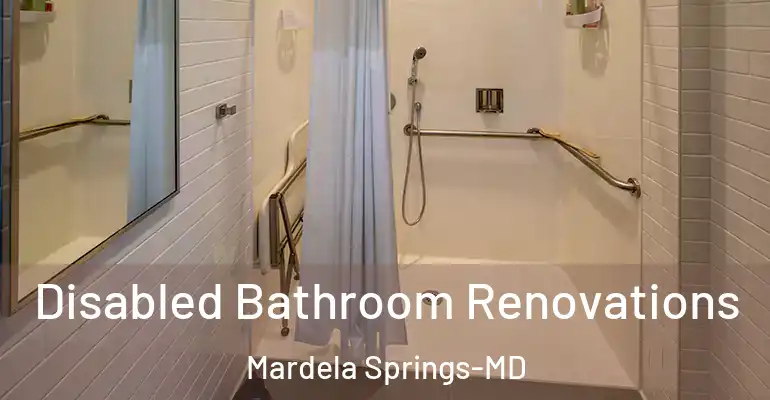 inner Bathroom imggen Disabled Bathroom Renovations Mardela Springs-MD