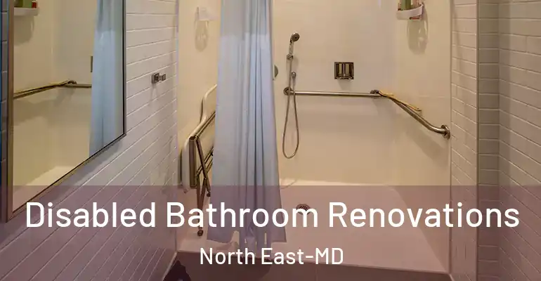 inner Bathroom imggen Disabled Bathroom Renovations North East-MD