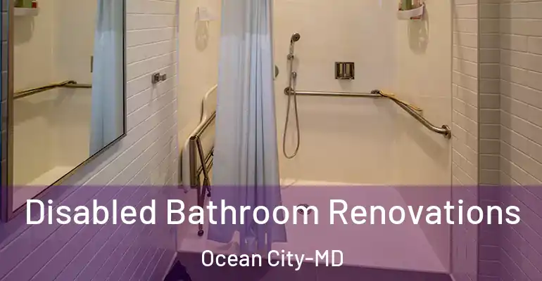 inner Bathroom imggen Disabled Bathroom Renovations Ocean City-MD