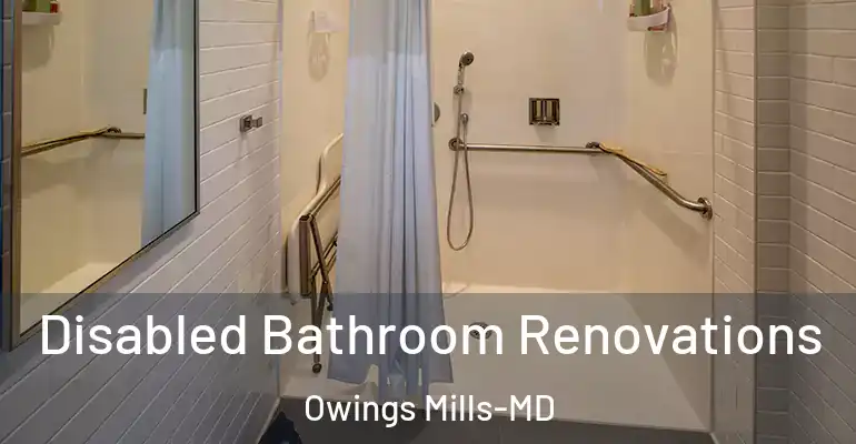 inner Bathroom imggen Disabled Bathroom Renovations Owings Mills-MD