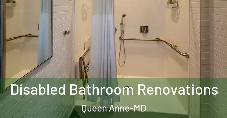 inner Bathroom imggen Disabled Bathroom Renovations Queen Anne-MD