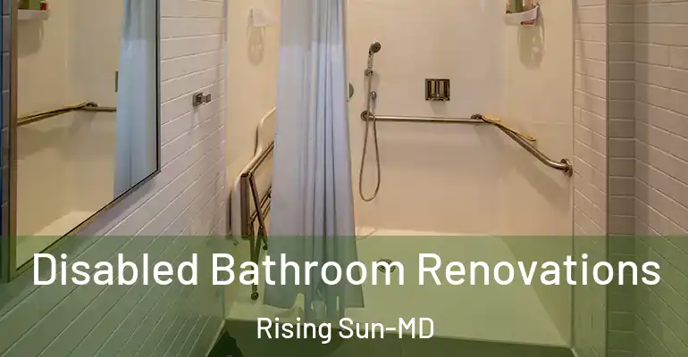 inner Bathroom imggen Disabled Bathroom Renovations Rising Sun-MD