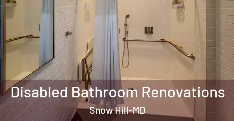 inner Bathroom imggen Disabled Bathroom Renovations Snow Hill-MD