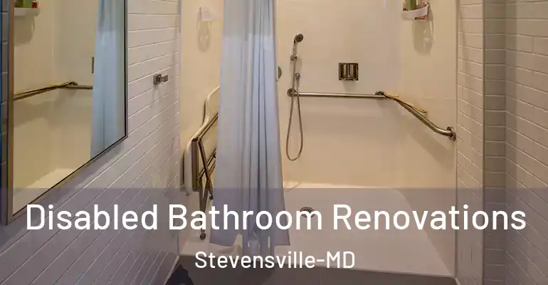 inner Bathroom imggen Disabled Bathroom Renovations Stevensville-MD