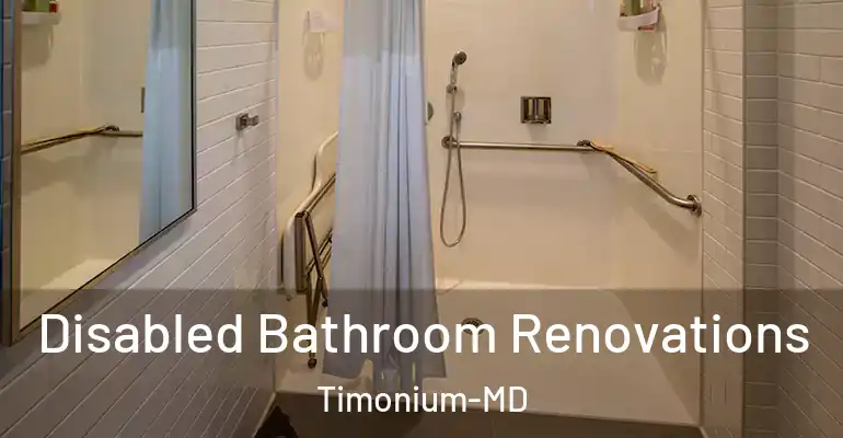inner Bathroom imggen Disabled Bathroom Renovations Timonium-MD