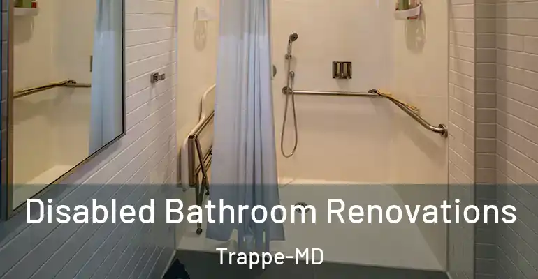 inner Bathroom imggen Disabled Bathroom Renovations Trappe-MD