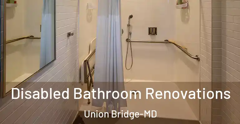 inner Bathroom imggen Disabled Bathroom Renovations Union Bridge-MD