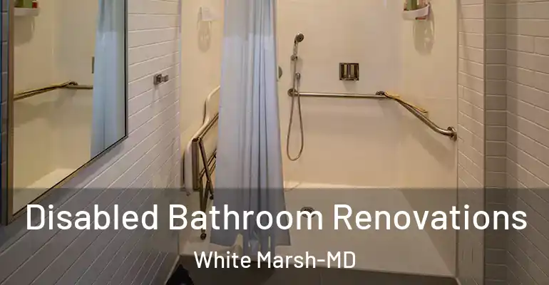 inner Bathroom imggen Disabled Bathroom Renovations White Marsh-MD
