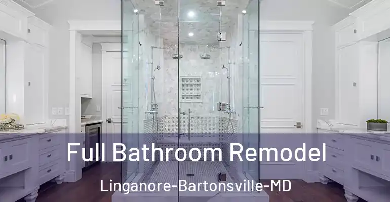inner Bathroom imggen Full Bathroom Remodel Linganore-Bartonsville-MD