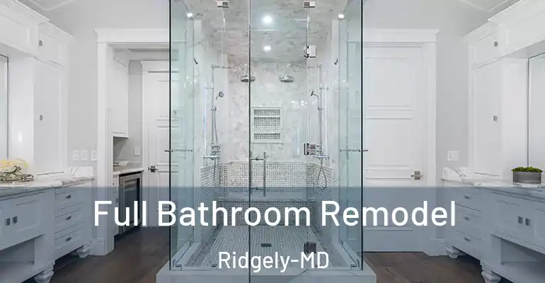 inner Bathroom imggen Full Bathroom Remodel Ridgely-MD