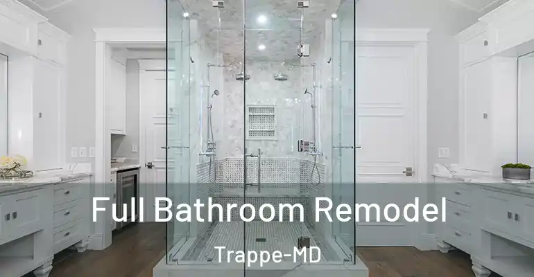 inner Bathroom imggen Full Bathroom Remodel Trappe-MD